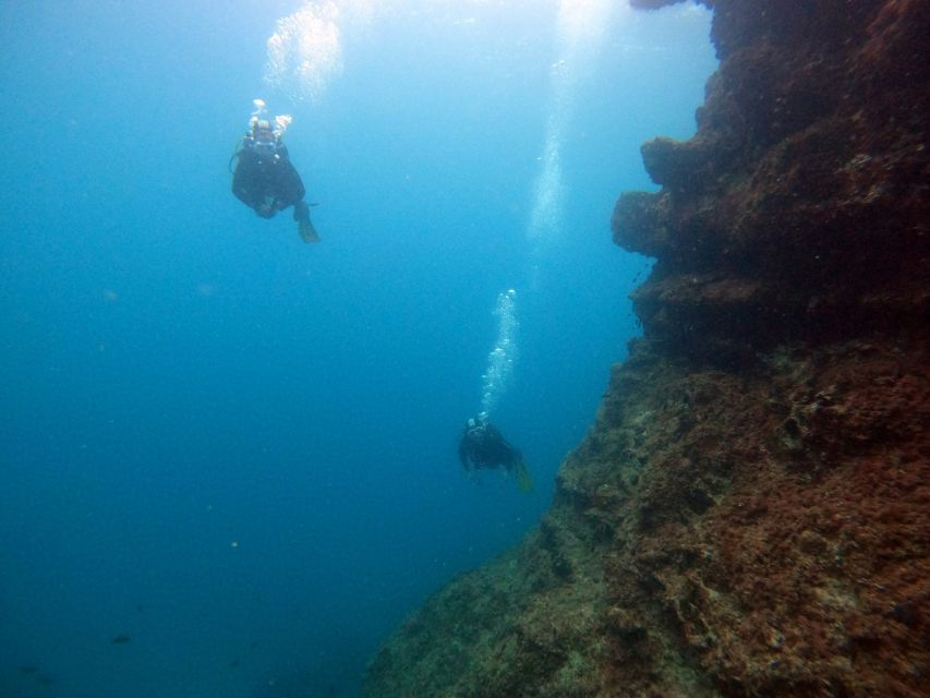 Nea Makri: Open-Water Diving Advanced PADI Course - Group Size and Experience Level