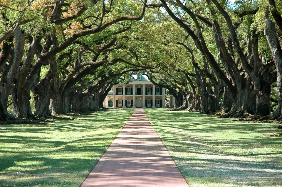 New Orleans: Single Plantation and Pontoon Swamp Day Trip - Plantation Visits