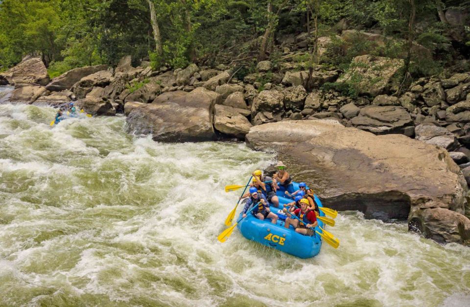 New River Gorge Whitewater Rafting - Lower New Half Day - Inclusions