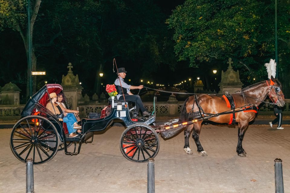 NYC MOONLIGHT HORSE CARRIAGE RIDE Through Central Park - Highlights of the Experience