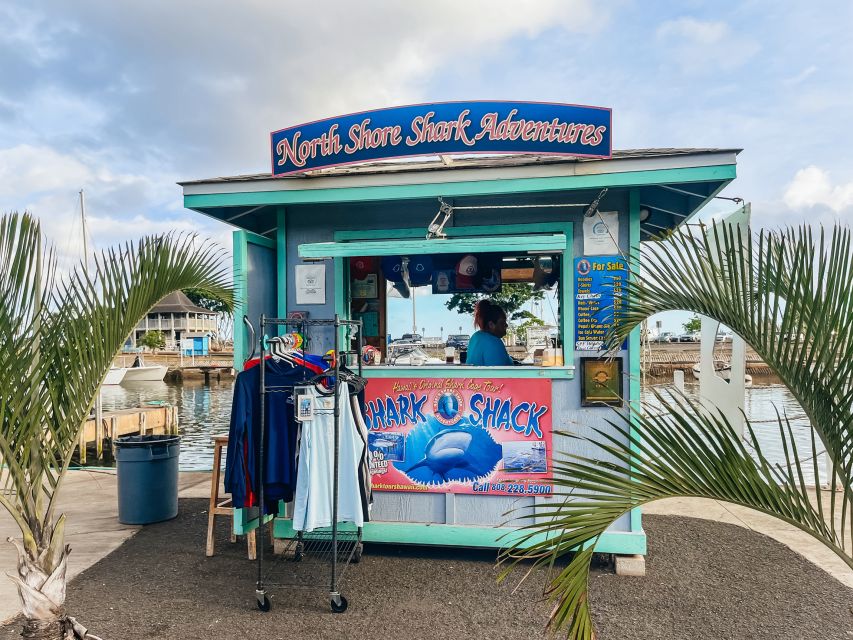 Oahu: Shark Cage Dive on the North Shore - Booking Details