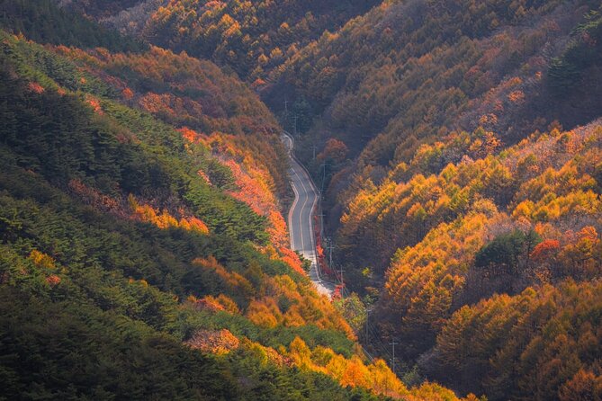 Palgongsan Natural Park Autumn Foliage One Day Tour From Busan - Tour Itinerary and Schedule