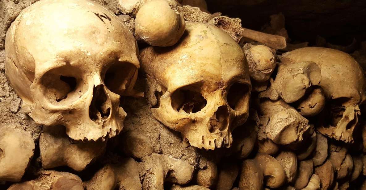 Paris: Skip-the-Line Catacombs Tour and Seine River Cruise - Activity Highlights