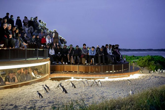 Phillip Island and French Island Wildlife Expedition - Scenic Ferry Crossing Experience