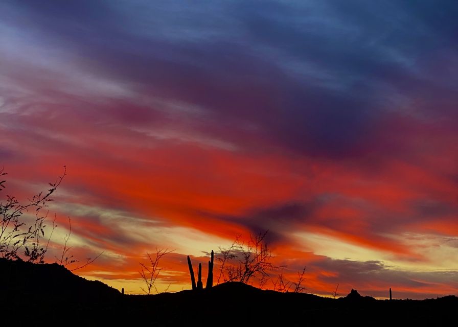 Phoenix: Sonoran Desert Guided Hiking Adventure - Adventure Inclusions