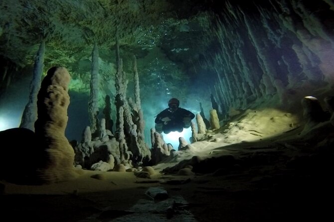 Playa Del Carmen Private Cenote Two Dives for Certified Divers - Highlights of Exploration