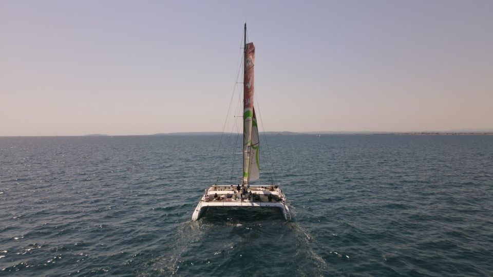 Port Camargue: Half-Day Sailing Tour on a Racing Catamaran - About the Activity