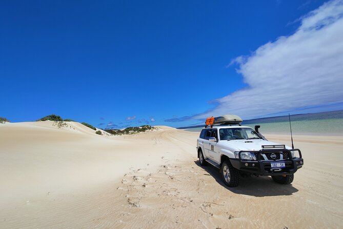 Port Lincoln Full-day Exploration Tour - Meeting and Pickup Details