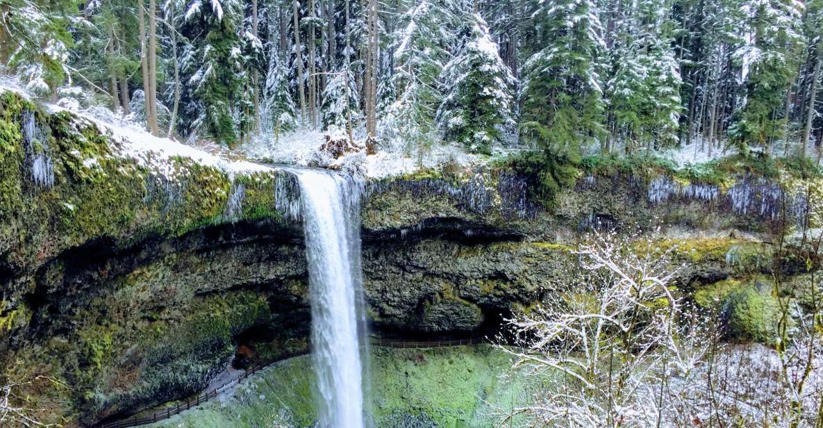 Portland: Silver Falls Hike and Wine Tour - Booking Information