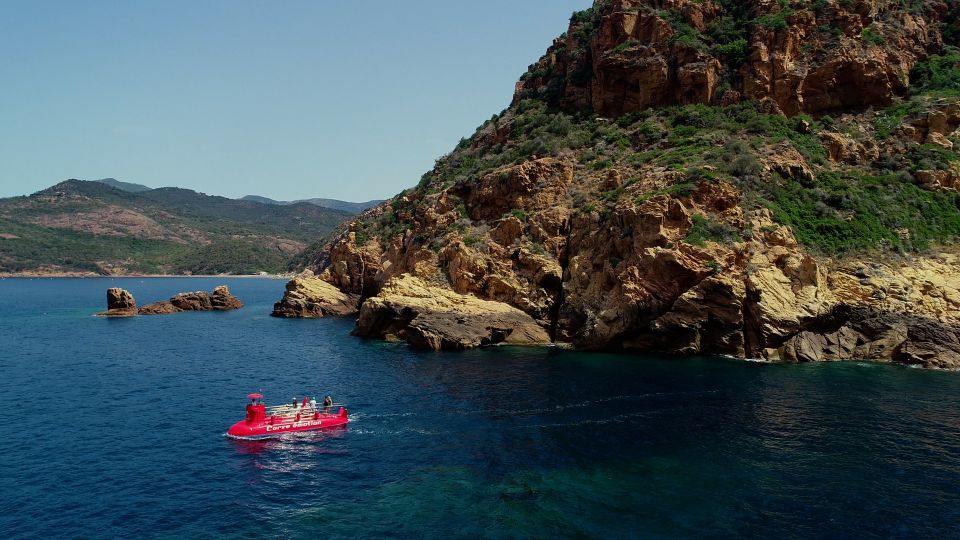 Porto: Discovery of Marine Fauna and Flora/Bay of Porto - Unveiling the Marine Fauna