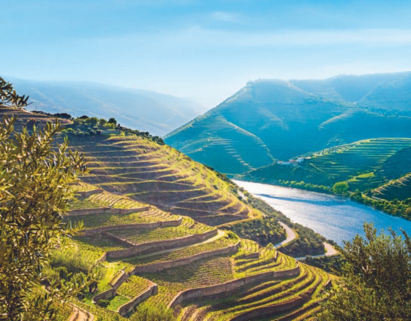 Porto: Private Douro Valley Tour, Yacth, Wine Taste & Lunch - Activity Description and Highlights