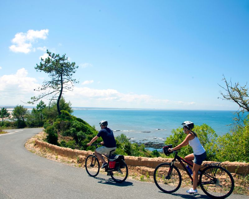 Portugal: Premium Bike Tour Atlantic Coast to Douro Valley - Experience Highlights and Inclusions