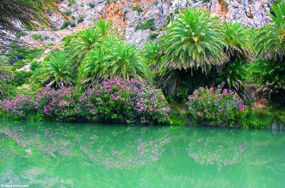 Preveli, Plakias, Kourtaliotis From Rethymno - Description