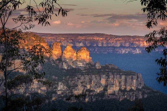 Private Blue Mountains Tour With Kangaroo and Koala Experience - Featherdale Wildlife Park Adventure