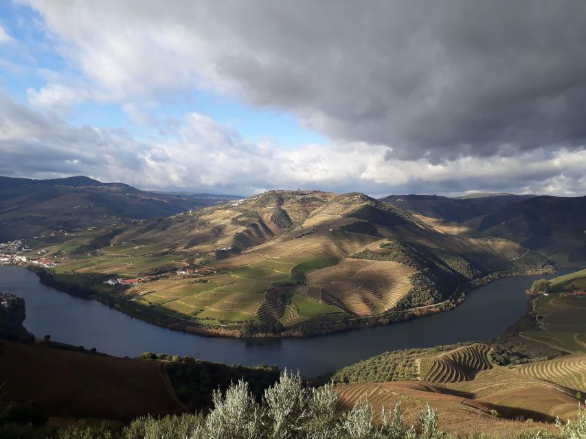 Private Douro Wine Tour - Tour Details