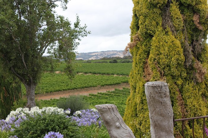 Private Mclaren Vale Wine Region Tour From Adelaide - Meeting and Pickup Details