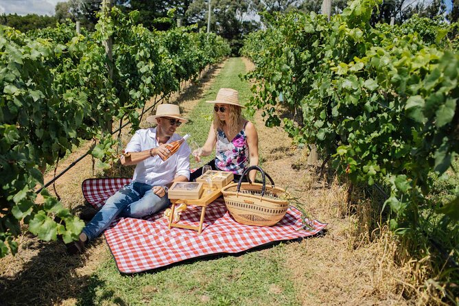 Private Picnic Lunch Experience in Orange With Wine - Logistics and Accessibility