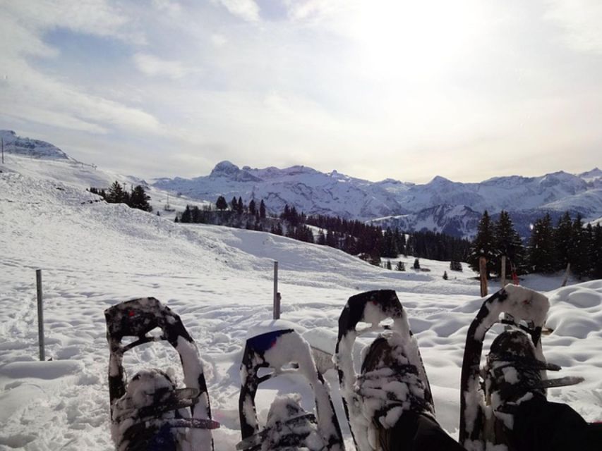 Private Snowshoeing Full Day - Experience Details