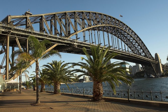 Private Sydney City and Bondi Beach Half Day Tour - What to Expect on Tour