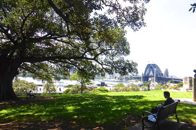Private Tour: Half-Day Iconic Sydney - What to Expect From Your Guide