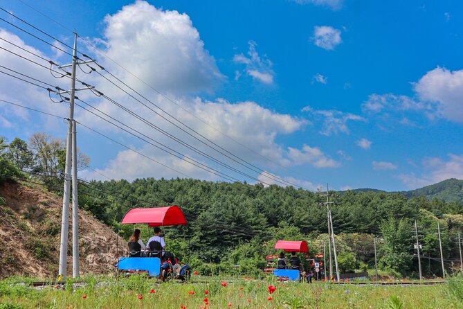 (Private Tour) Nami Island + Railbike + Garden of Morning Calm - What to Expect