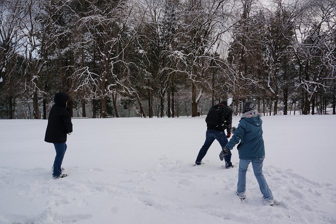 Private Tour Nami Island With Petite France And/Or the Garden of Morning Calm - The Garden of Morning Calm Experience