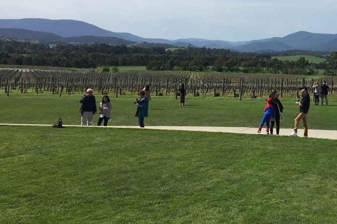 Private Yarra Valley Wine Tour - Wine Tasting Experience