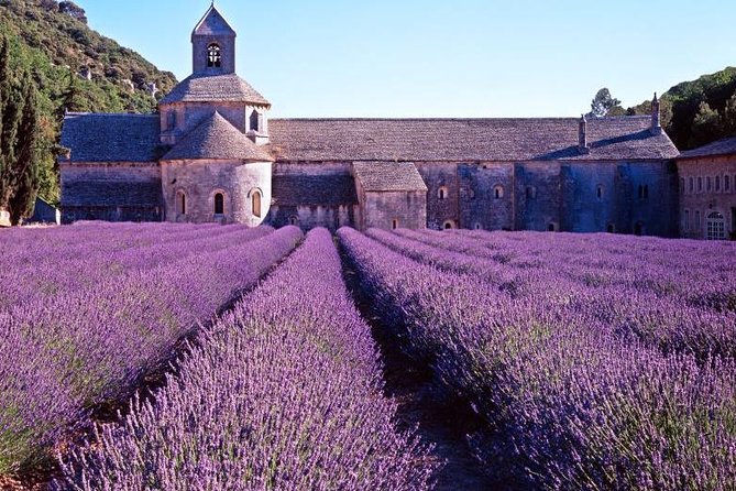 Provence Countryside Full-Day Private Tour From Nice - Booking and Pricing Details