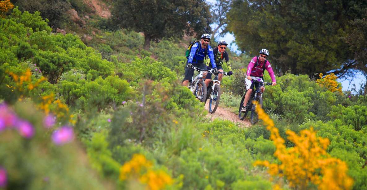 Ramatuelle: Tracks & Tasting Winery Tour by Mountain E-Bike - Activity Description