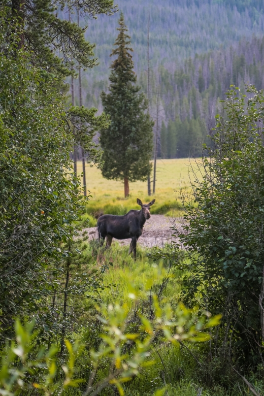 Rocky Mountain: Private Guided Day Tour From Denver/Boulder - Sightseeing Locations