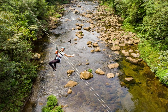 San Jose Rainforest Adventures With Zipline and Canopy Gondola - Activities and Highlights