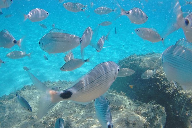 Sardinia Southeastern Coast Small-Group Tour From Cagliari - Meeting Point and Start Time