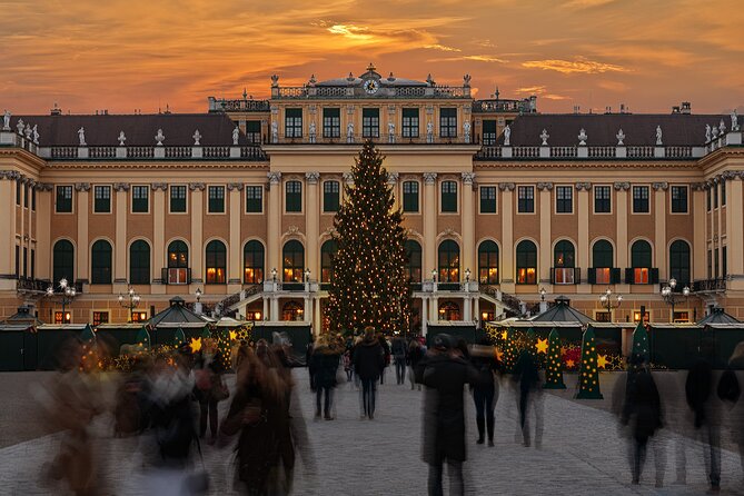 Schönbrunn: After-Hours Palace Tour, Christmas Market & Concert - Experience Inclusions