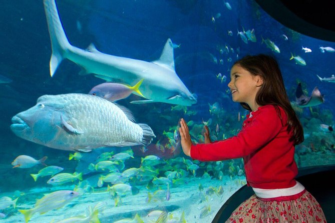 SEA LIFE Melbourne Aquarium Admission Ticket - Explore the Aquariums Features