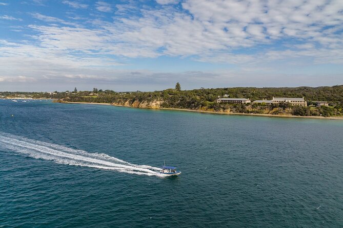 Seal and Dolphin Watching Eco Boat Cruise Mornington Peninsula - Wildlife and Scenic Highlights