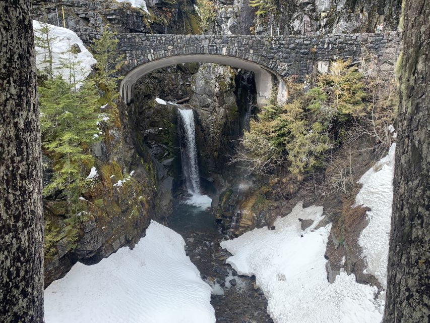 Seattle: Mt. Rainier Hiking W/ Waterfalls, Glaciers & Trees - Experience Highlights