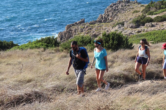 Small-Group Day Tour With Hiking & Swimming, Gulf of Navarino  - Kalamata - Copyright Notice