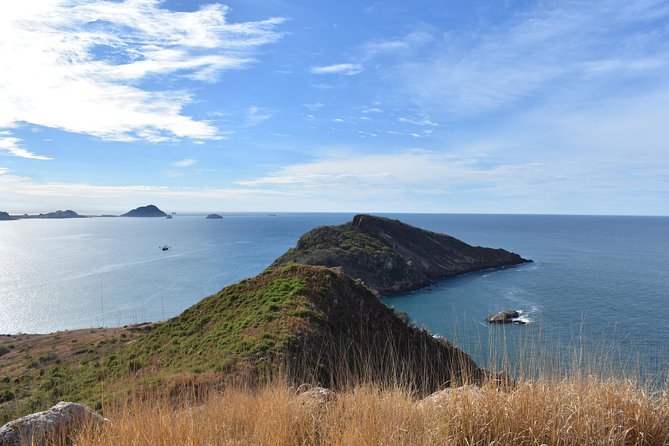 Small-Group Half-Day Deer Island Trip in Mazatlan - Traveler Feedback Highlights