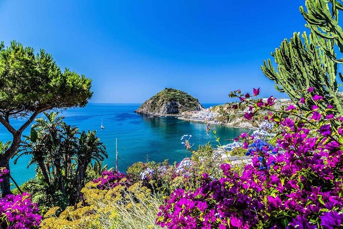 Small Group Ischia and Procida Boat Day Tour From Sorrento - Itinerary