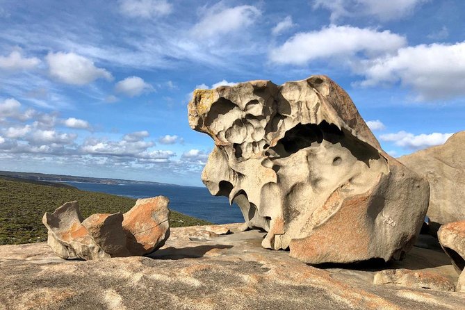 Small Group Kangaroo Island Tour - Flinders Chase - Unique Wildlife Encounters