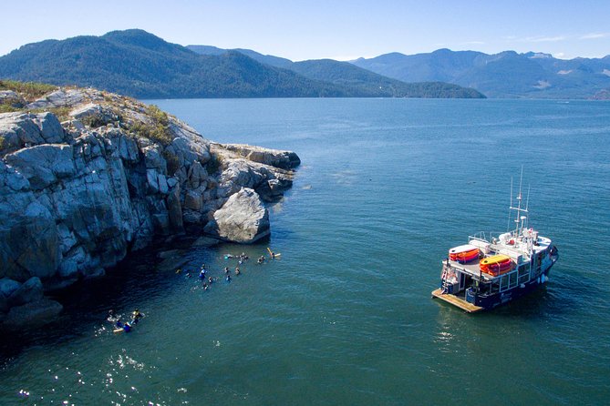 Snorkel, Kayak, and Seal Adventure: Vancouver Boat Tour - Customer Reviews