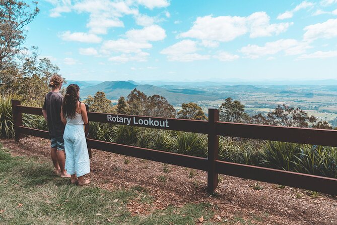 Springbrook Andtamborine Rainforest Tour Incl Natural Bridge and Glow Worm Cave - Exploring Springbrook National Park