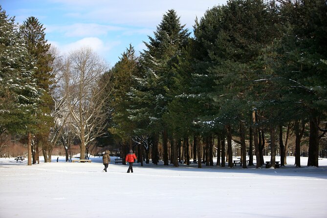 Strawberry & Eobi Valley & Nami Island & Garden of Morning Calm - Traveler Reviews and Ratings