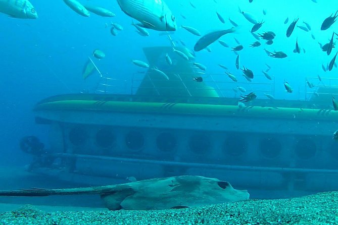 Submarine Safaris Lanzarote - Dive 100 Feet Underwater