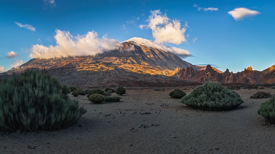 Tenerife: Teide National Park and Dolphins Sailboat Tour - Booking Information