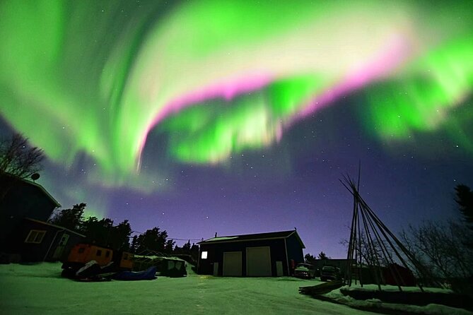 The Best Aurora Tour - Traveler Testimonials