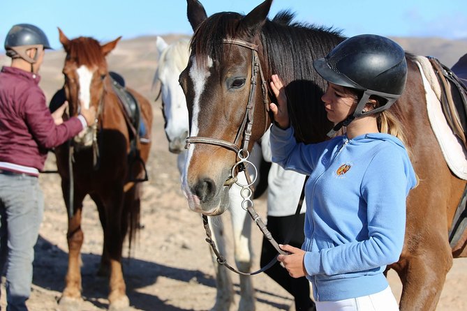 The Best Horse Riding Experience in Gran Canaria (2 Hours) - Reviews