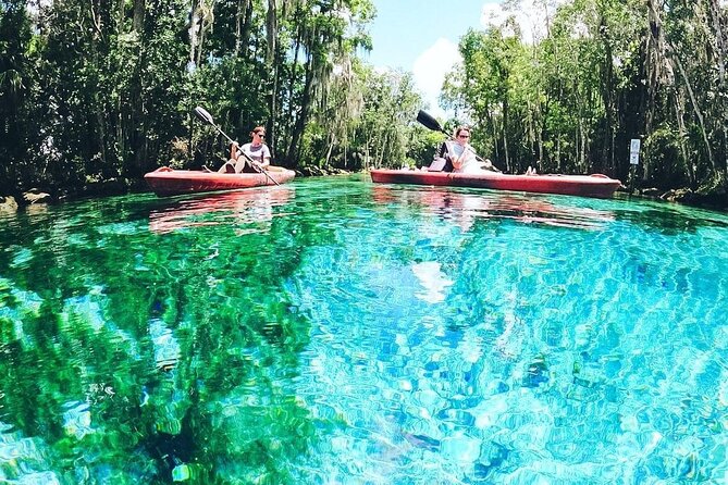 Three Sisters Springs Kayak And Swim Eco-Tour Crystal River - Inclusions and Extras