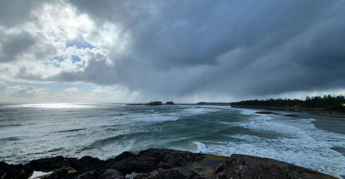 Tofino: Surf, Soak and Rainforest - Activity Highlights