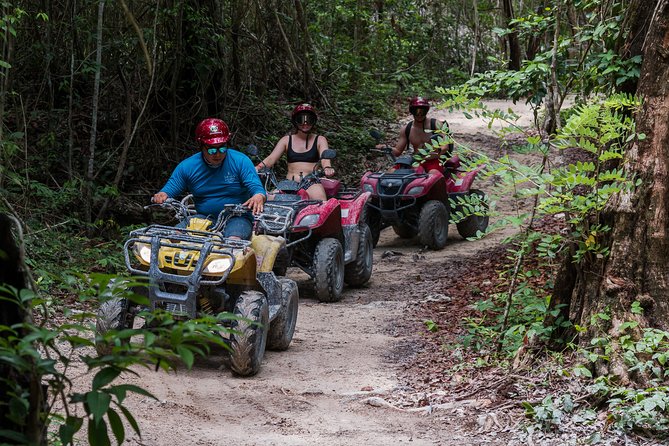 Tortugas Jeep Adventure & ATV Jungle Experience - Tour Overview and Highlights